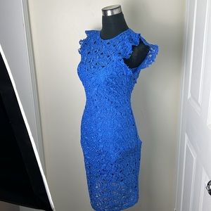 Zara Royal Blue Guipure Lace Embroidery Chic Midi Dress Size Small